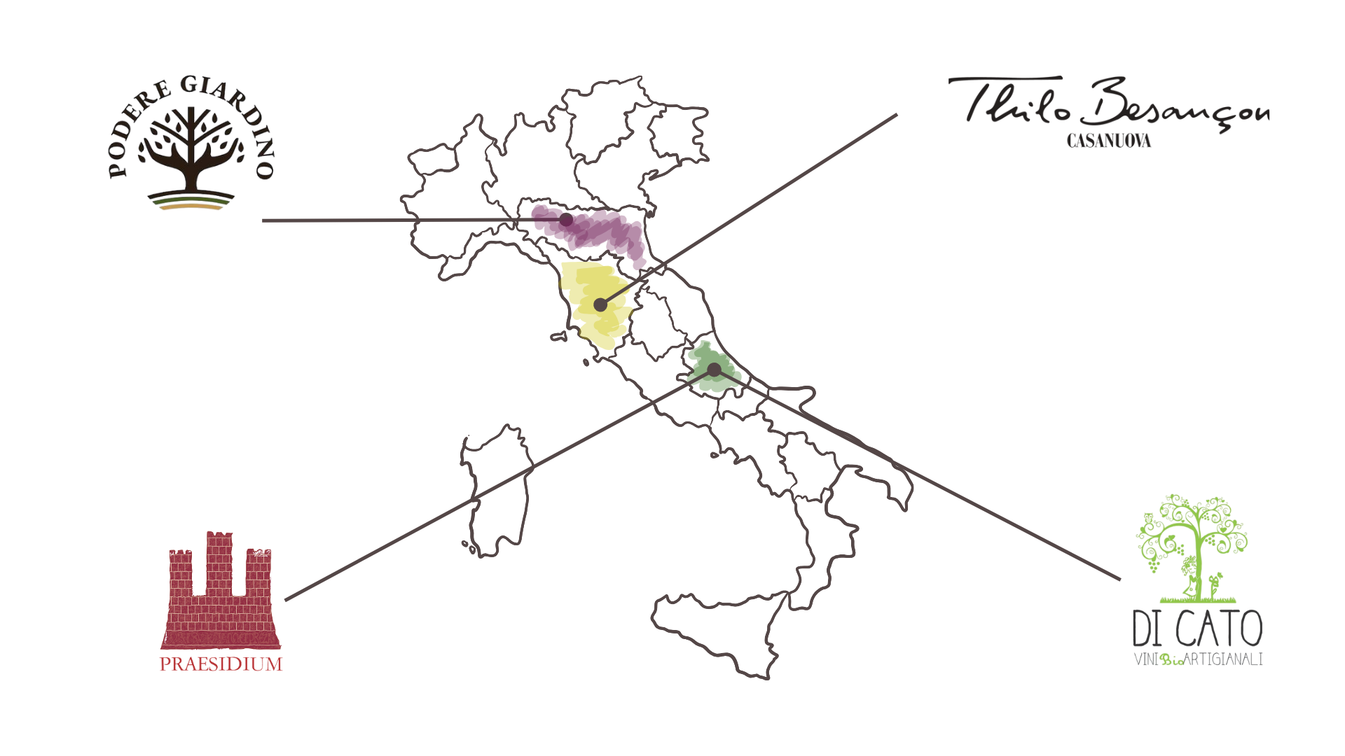 Catalogue, an image representing the shape of Italy, with its regions, and the four winery of the Trellising's Catalogue